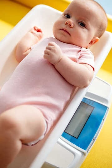 8 Aylık Bebek Kilo ve Boyu: Bebeğiniz Sağlıklı Büyüyor mu?