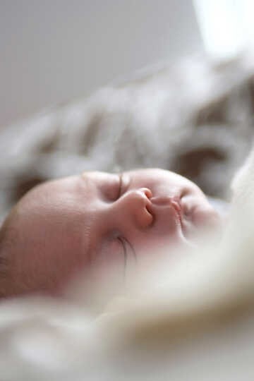 Bebekler İçin Uyku Eğitimi: Yöntemler ve İpuçları